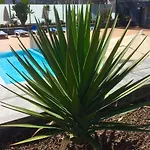 Blue Dream Playa Daire