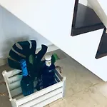 Apartment Blue Dream Playa *