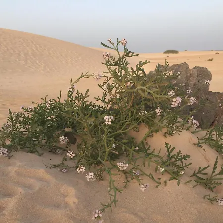 Blue Dream Playa Apartamento Corralejo