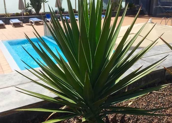 Blue Dream Playa Apartman