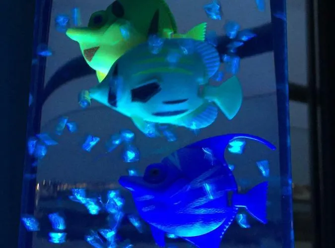 Apartment Blue Dream Playa Corralejo