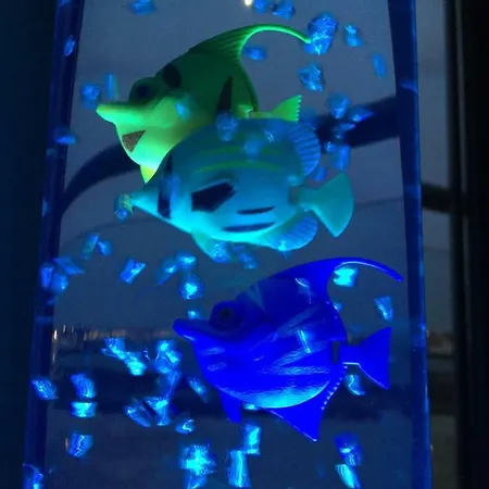 Apartament Blue Dream Playa Corralejo